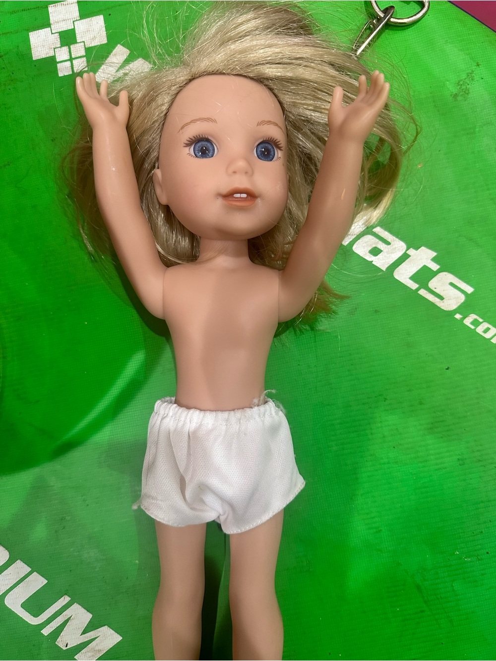 American Girl WellieWishers 14.5 inch doll